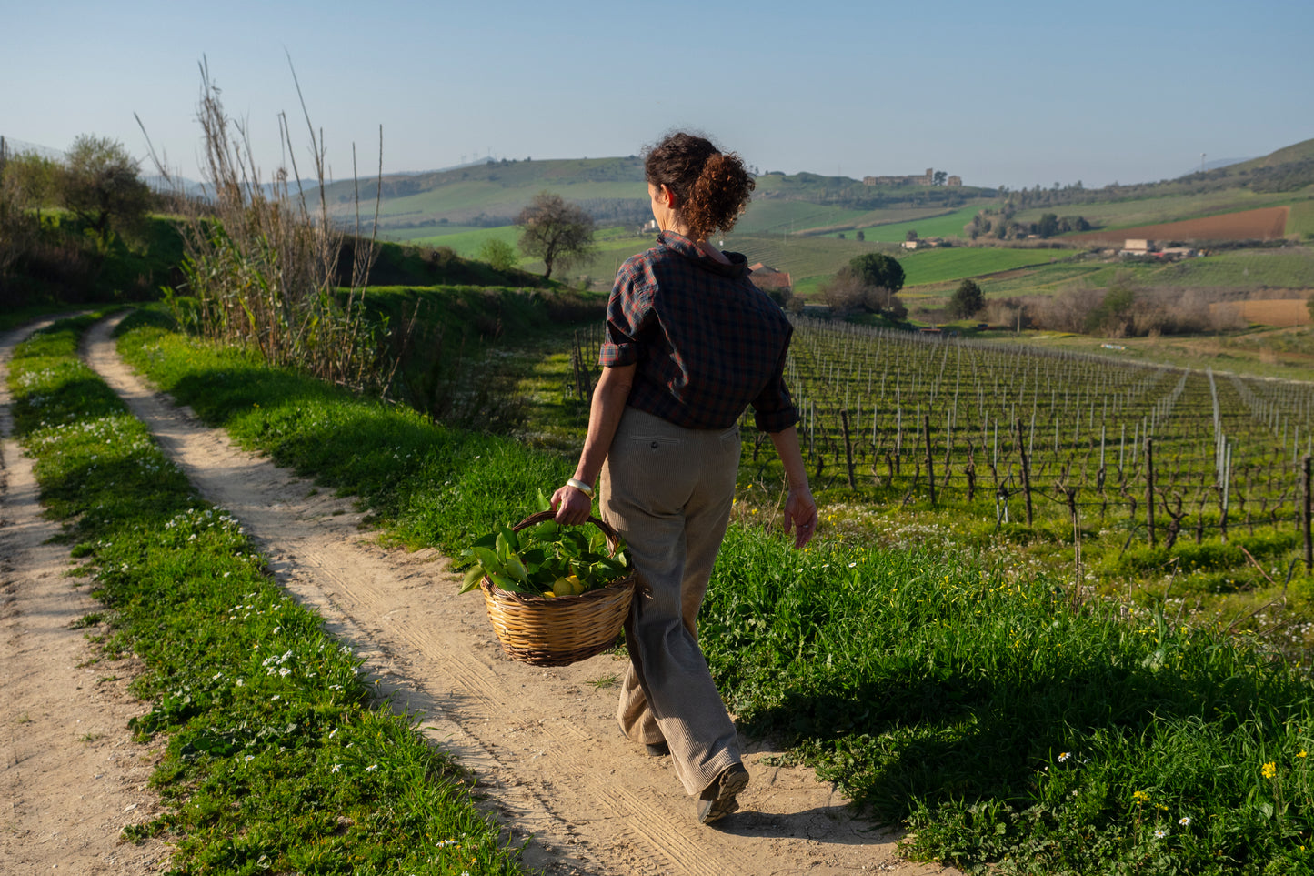 Xperience Tasca d'Almerita "Sallier de la Tour"