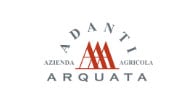 Adanti logo Adanti logo