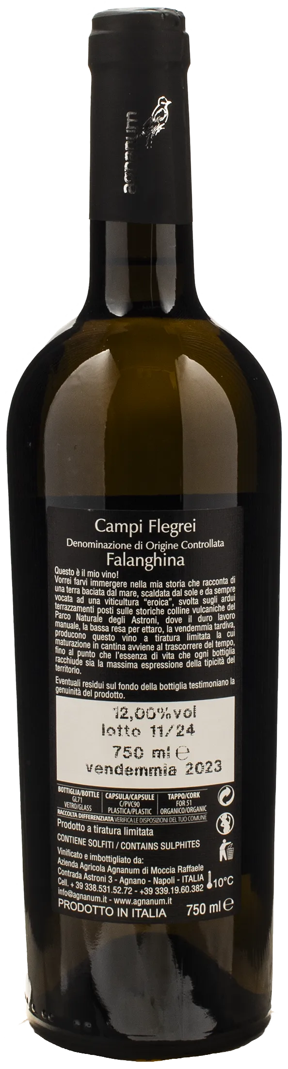 Agnanum Campi Flegrei Falanghina 2023