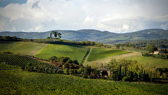 Agricoltori del Chianti Geografico