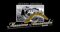 Alessandri Massimo logo Alessandri Massimo logo