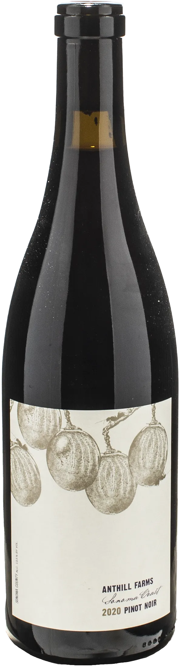 Anthill Farms Winery Pinot Noir Sonoma Coast 2020 | XtraWine