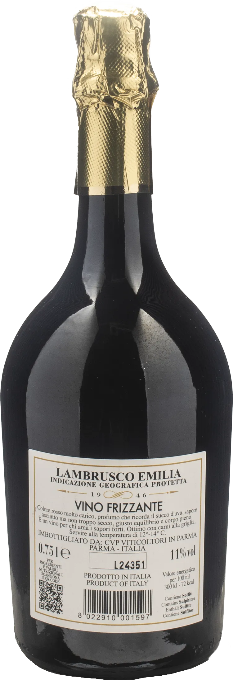 Antica Cantina Parmigiana Lambrusco Secco Nero Notte