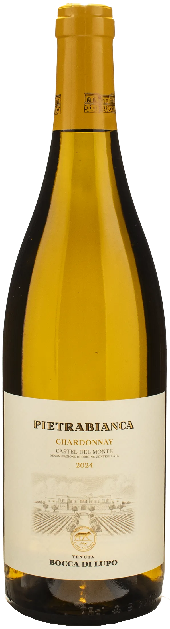 Bocca di Lupo Castel del Monte Pietrabianca Chardonnay 2024