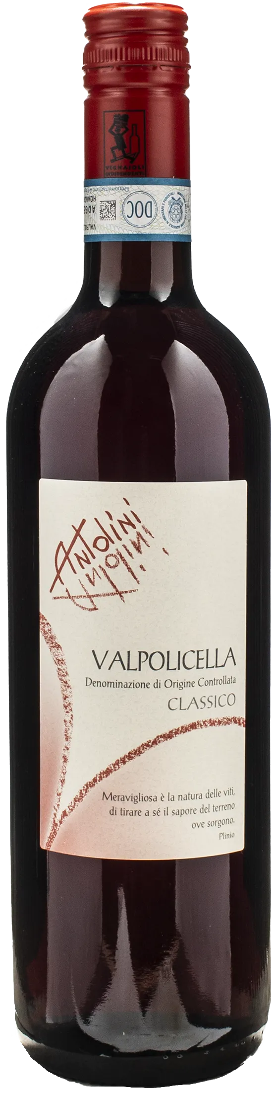 Antolini Valpolicella Classico 2023