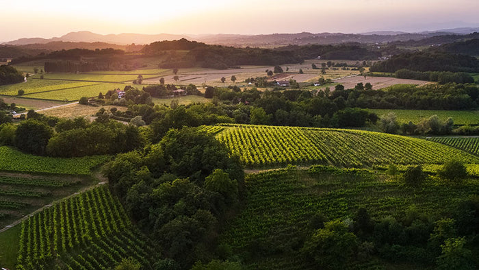 Attems - Frescobaldi