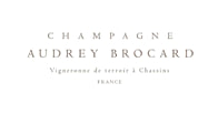 Audrey Brocard logo Audrey Brocard logo