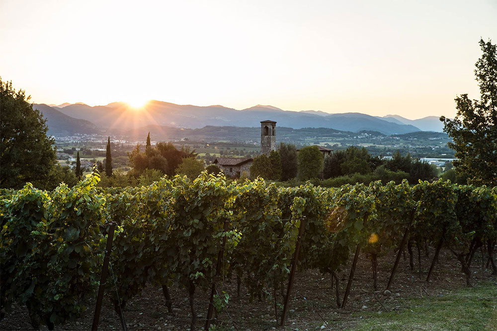 Bellavista Bellavista