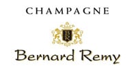 Bernard Remy logo Bernard Remy logo