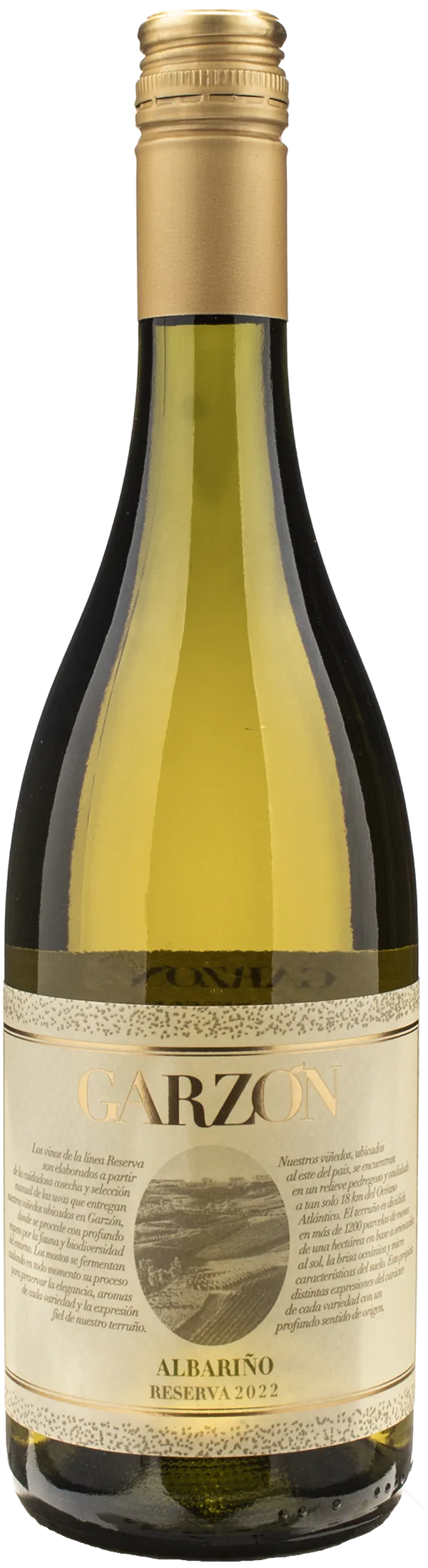 Bodega Garzon Albarino Reserva 2022