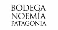 Bodega Noemia logo Bodega Noemia logo