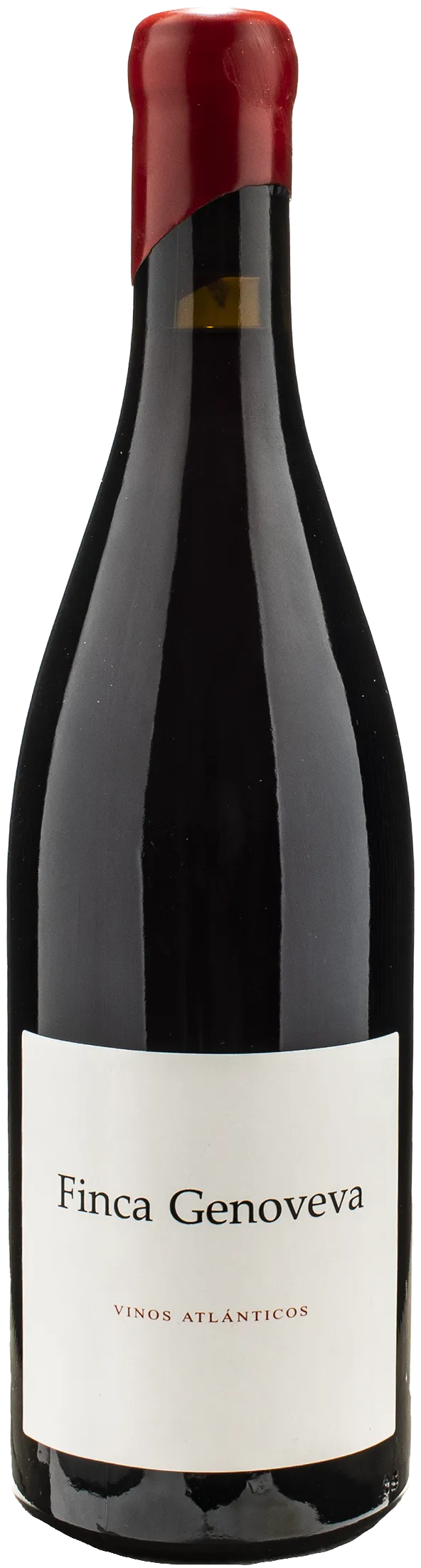 Bodegas Forjas Vinos Atlanticos Goliardo Caino Finca Genoveva 2020