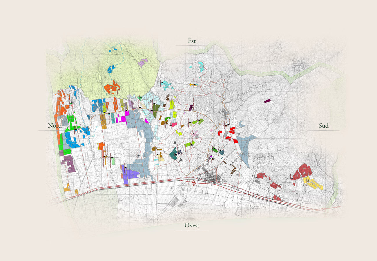 Bolgheri DOC 1 Bolgheri DOC 1