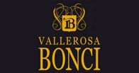 Bonci Vallerosa logo Bonci Vallerosa logo