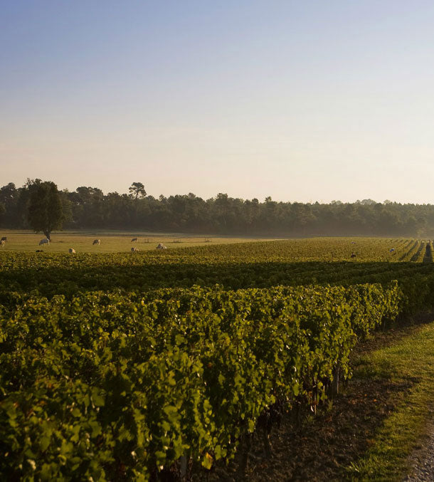 Bordeaux 1 Bordeaux 1