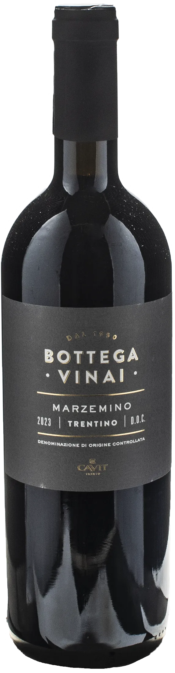 Bottega Vinai Marzemino 2023