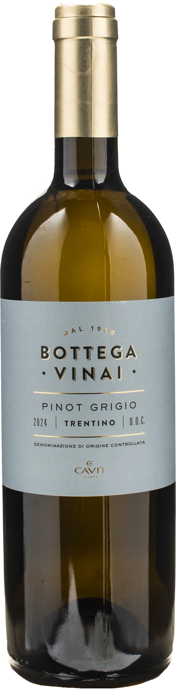 Bottega Vinai Pinot Grigio Trentino 2024