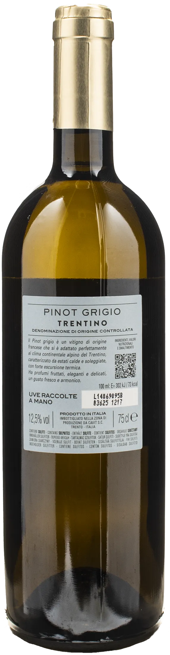 Bottega Vinai Pinot Grigio Trentino 2024