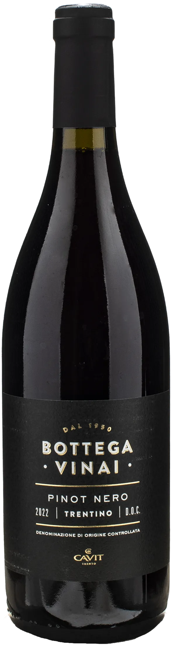 Bottega Vinai Pinot Nero Trentino 2022