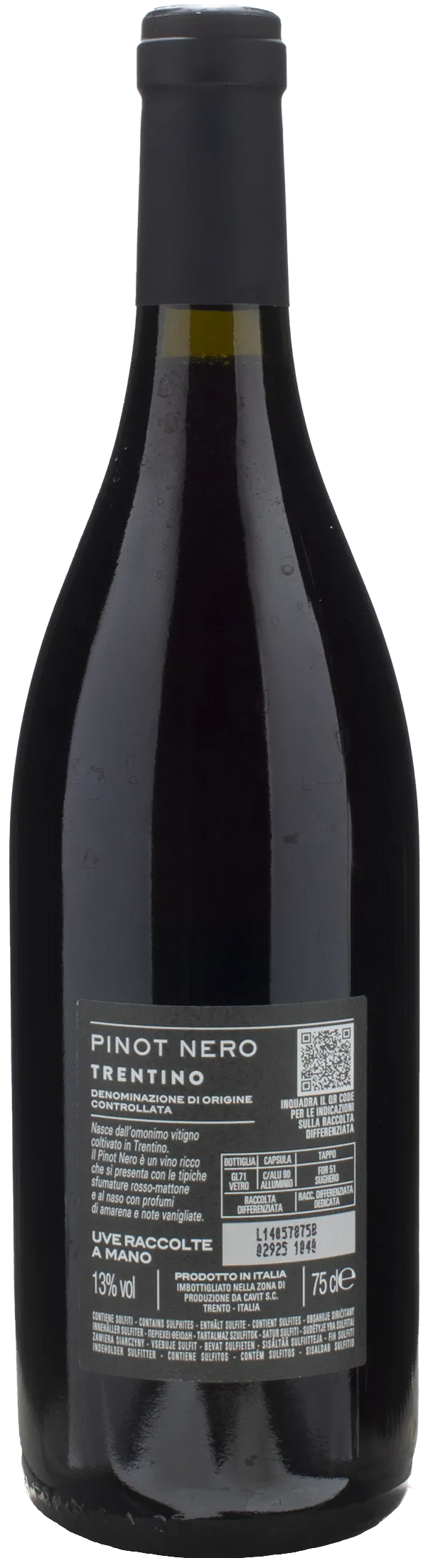Bottega Vinai Pinot Nero Trentino 2022