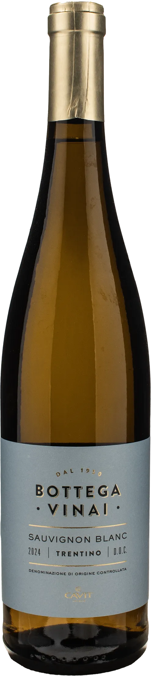 Bottega Vinai Sauvignon Blanc Trentino 2024