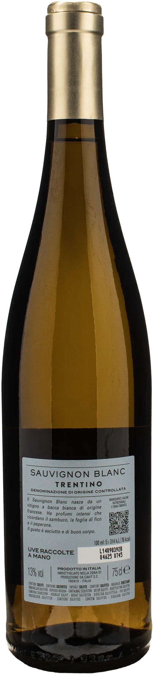 Bottega Vinai Sauvignon Blanc Trentino 2024