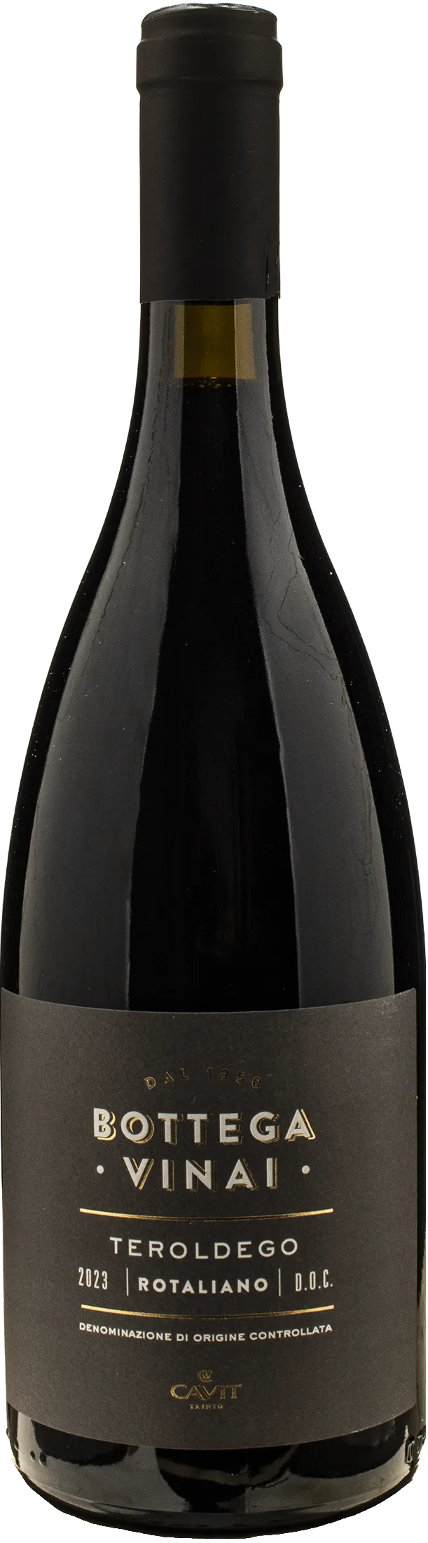 Bottega Vinai Teroldego Rotaliano 2023