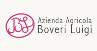Boveri Luigi logo Boveri Luigi logo