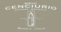 Bric Cenciurio logo Bric Cenciurio logo