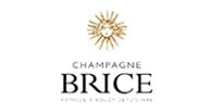 Brice logo Brice logo