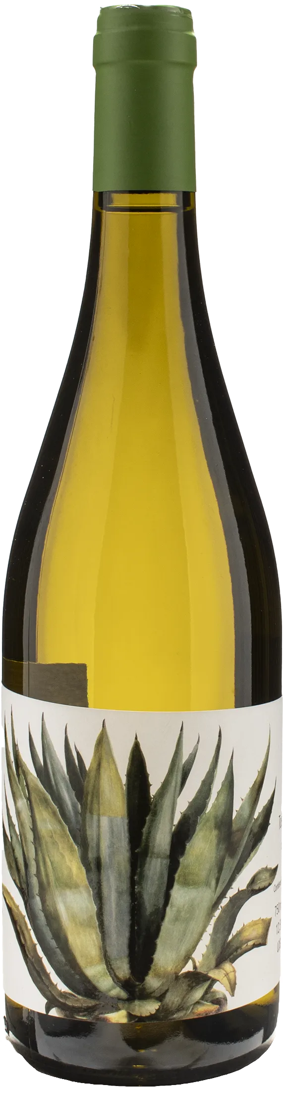 Caccia al Piano Grottaia Vermentino 2023