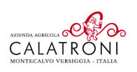 Calatroni logo Calatroni logo