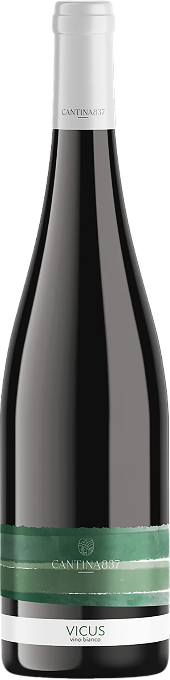 Cantina 837 Piwi Vicus 2023