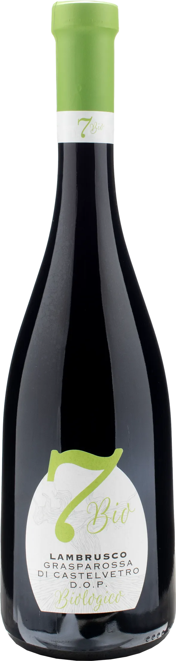 Cantina Settecani Lambrusco Secco Grasparossa di Castelvetro 7