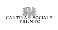 Cantina Sociale Trento logo Cantina Sociale Trento logo