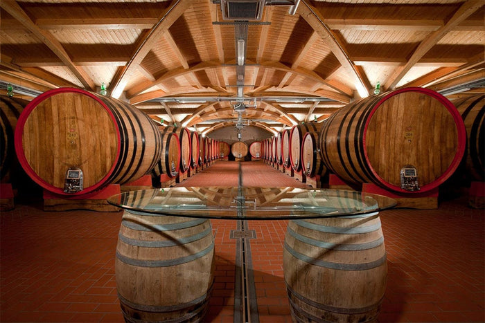 Cantine Leonardo da Vinci