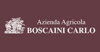 Carlo Boscaini logo Carlo Boscaini logo