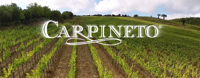 Carpineto
