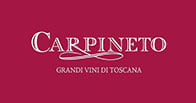 Carpineto logo Carpineto logo