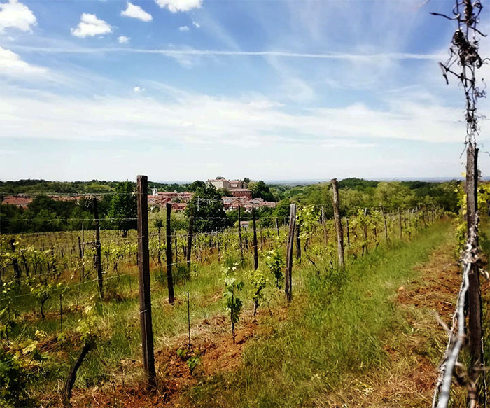 Cascina degli Ulivi (Stefano Bellotti)