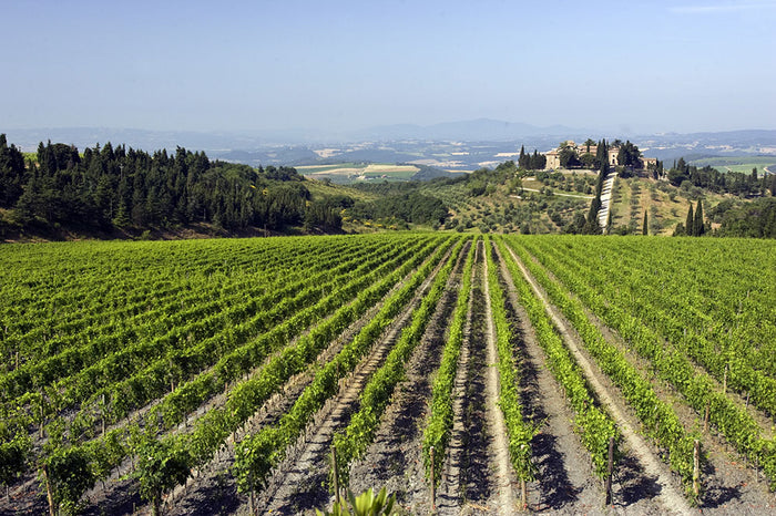 Castelgiocondo - Frescobaldi