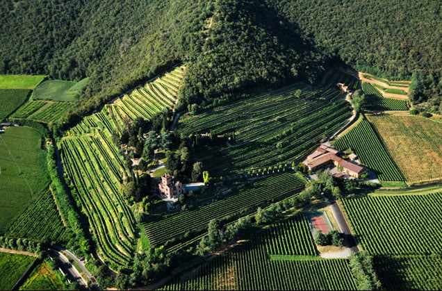 Castello Bonomi