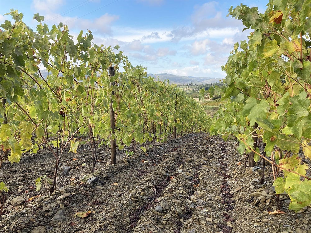 Castello di Volpaia Castello di Volpaia