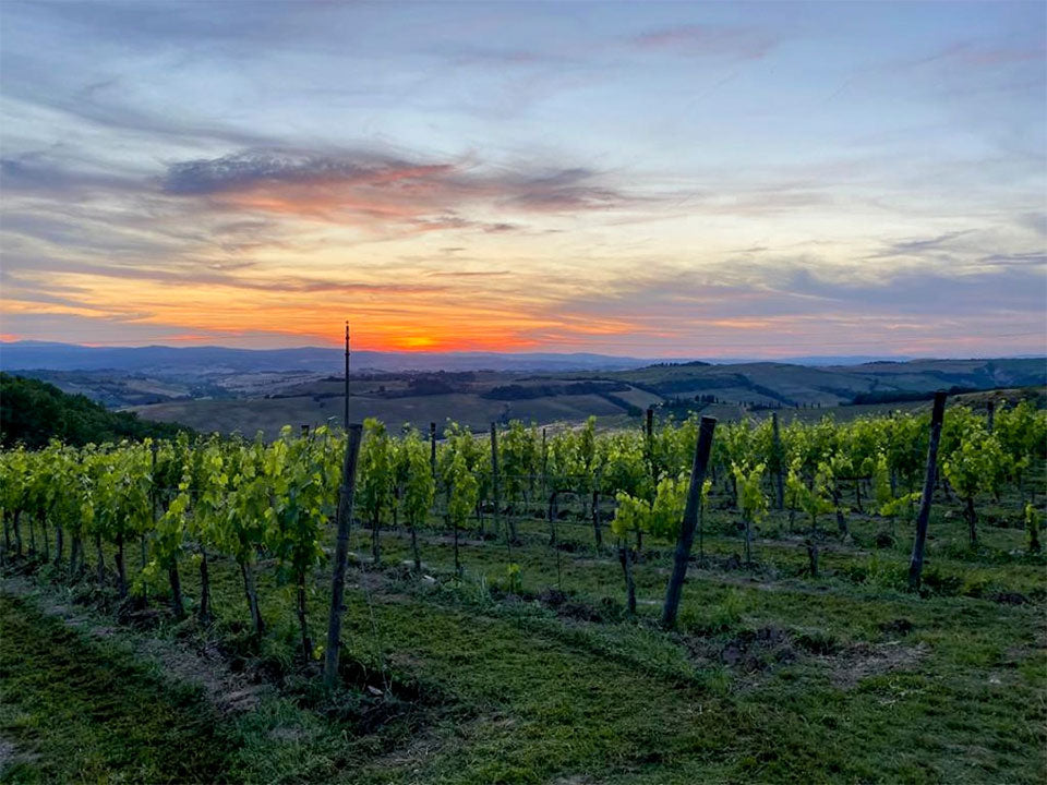 Cava d'Onice Cava d'Onice