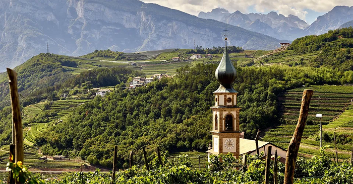 Cembra Cantina di Montagna