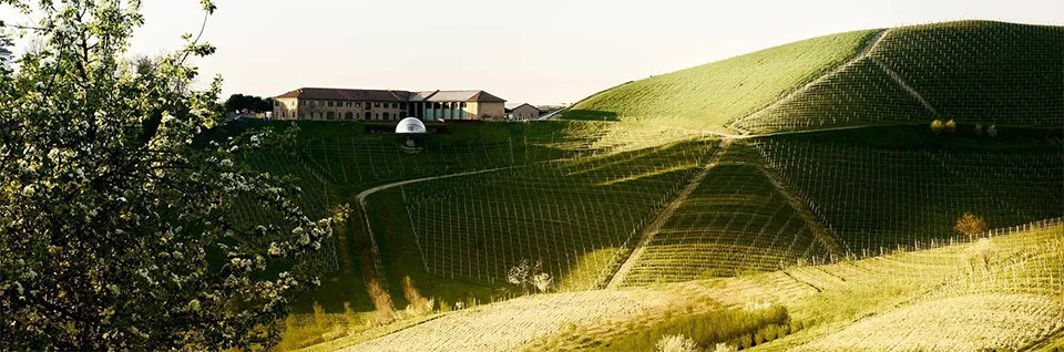 Ceretto Ceretto