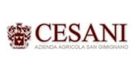 Cesani logo Cesani logo