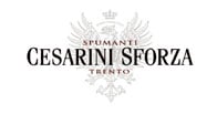 Cesarini Sforza logo Cesarini Sforza logo