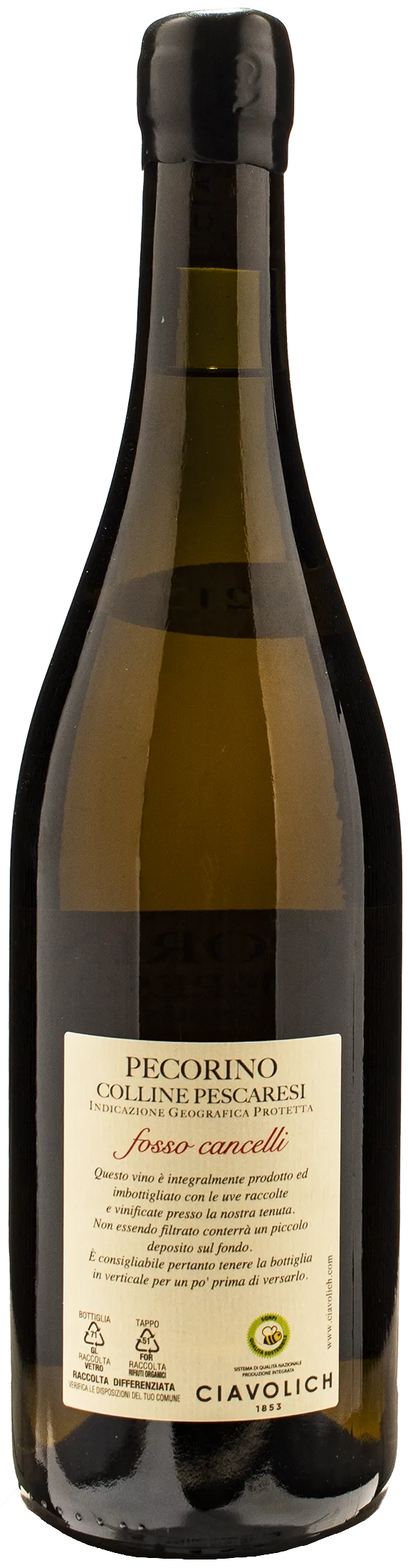 Ciavolich Pecorino Fosso Cancelli 2021