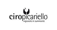Ciro Picariello logo Ciro Picariello logo